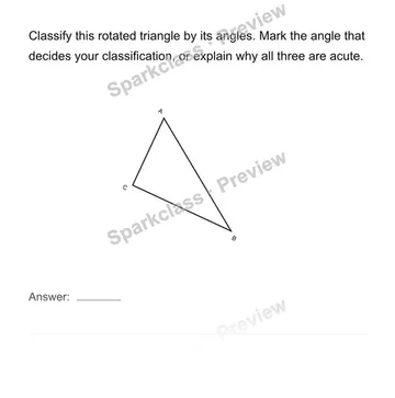 Classify beyond the usual orientation — Grade 4 problem preview