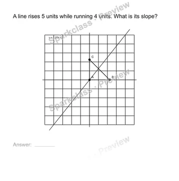 Interpret slope geometrically — Grade 8 problem preview