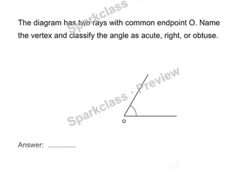 Identify lines, rays, segments and angles — Grade 4 problem preview