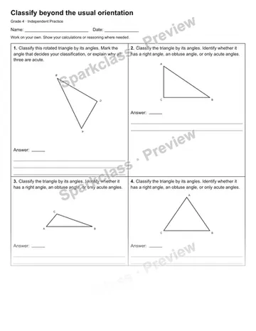 Classify beyond the usual orientation — Independent Practice — Grade 4 worksheet preview