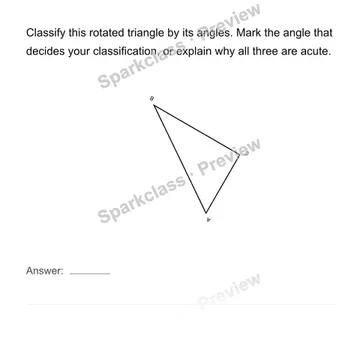 Classify beyond the usual orientation — Grade 4 problem preview