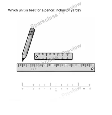 Choose a unit — Grade 2 problem preview