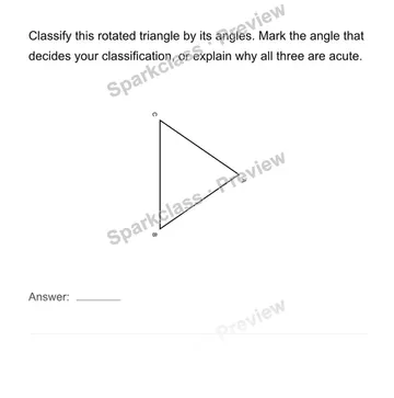 Classify beyond the usual orientation — Grade 4 problem preview