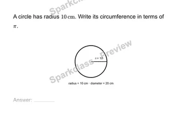 Find circumference in exact form — Grade 7 problem preview
