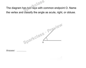 Identify lines, rays, segments and angles — Grade 4 problem preview