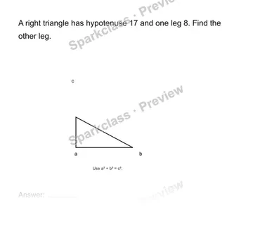 Find a missing leg — Grade 8 problem preview