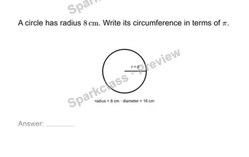 Find circumference in exact form — Grade 7 problem preview
