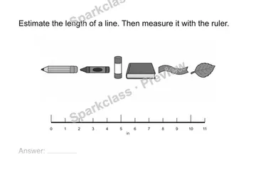 Estimate then measure — Grade 2 problem preview