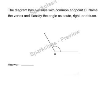 Identify lines, rays, segments and angles — Grade 4 problem preview