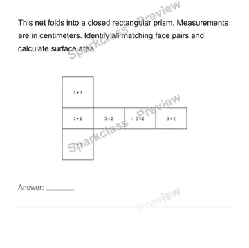 Connect rectangular-prism nets and surface area — Grade 6 problem preview