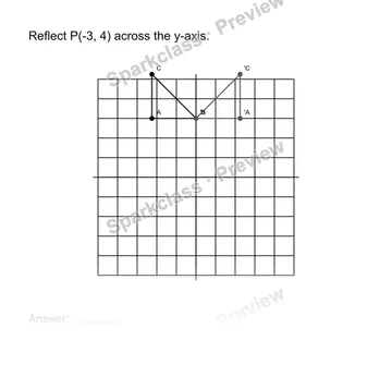 Reflect points — Grade 8 problem preview