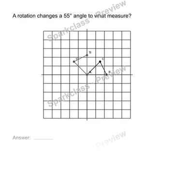 Use angle preservation — Grade 8 problem preview