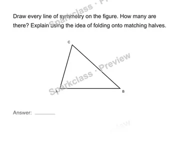 Identify and draw symmetry lines — Grade 4 problem preview